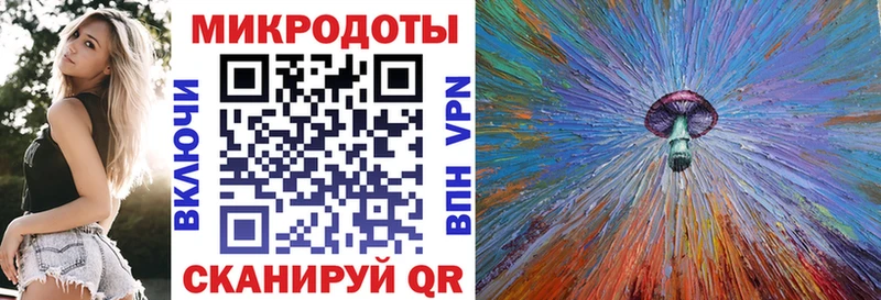 MEGA маркетплейс  Курчалой  Галлюциногенные грибы Psilocybe  сколько стоит 