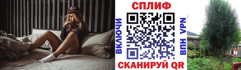 Бошки Шишки сатива hydra вход Курчалой